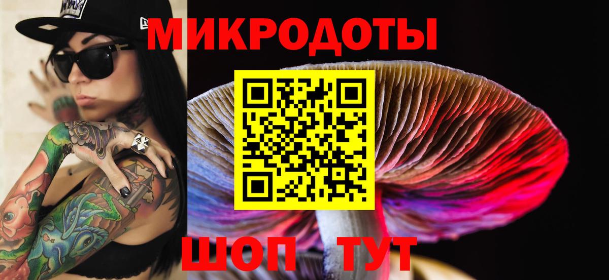 Приморско-Ахтарск  Псилоцибиновые грибы GOLDEN TEACHER  Вход с VPN 