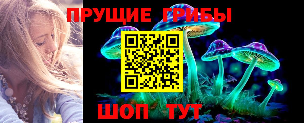 Галлюциногенные грибы Psilocybine cubensis Приморско-Ахтарск